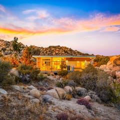 Wander Yucca Valley